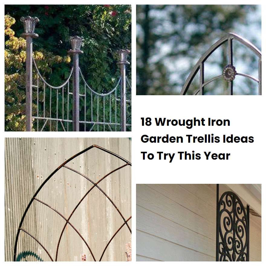 18 Wrought Iron Garden Trellis Ideas To Try This Year