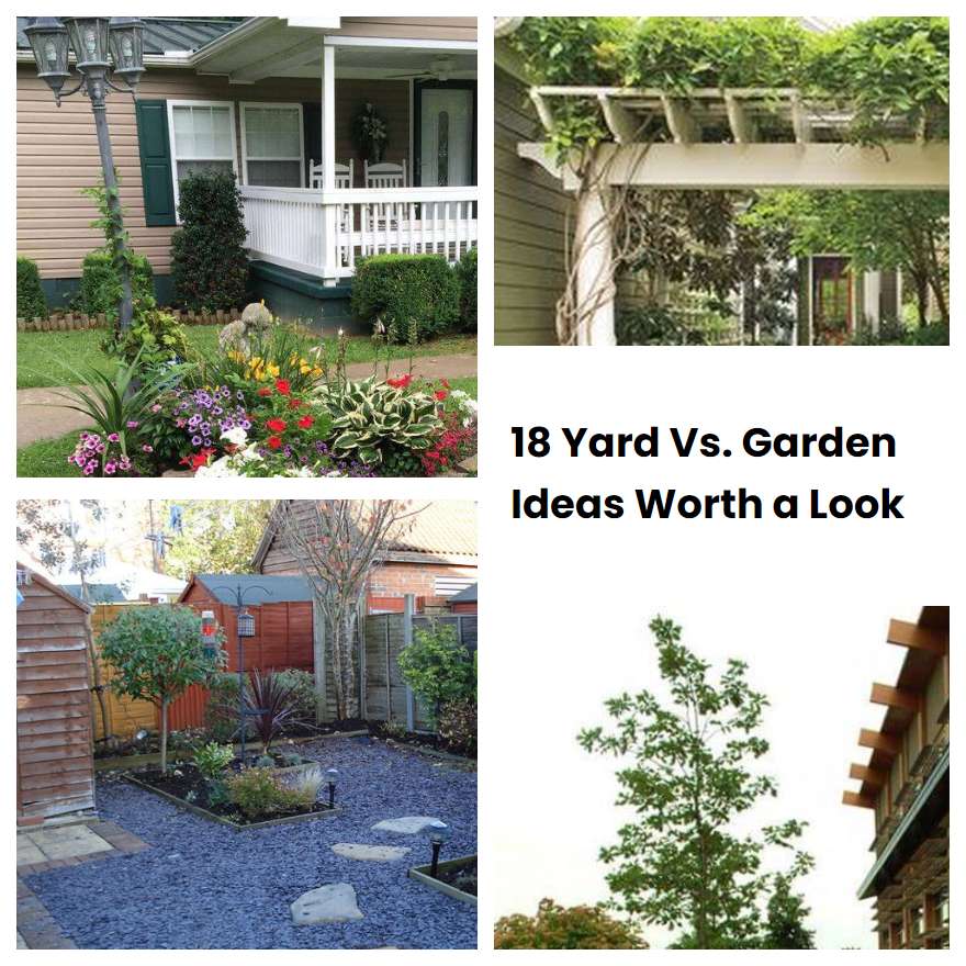 18 Yard Vs. Garden Ideas Worth a Look