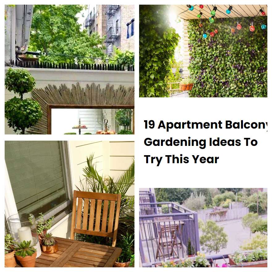 19 Apartment Balcony Gardening Ideas To Try This Year SharonSable