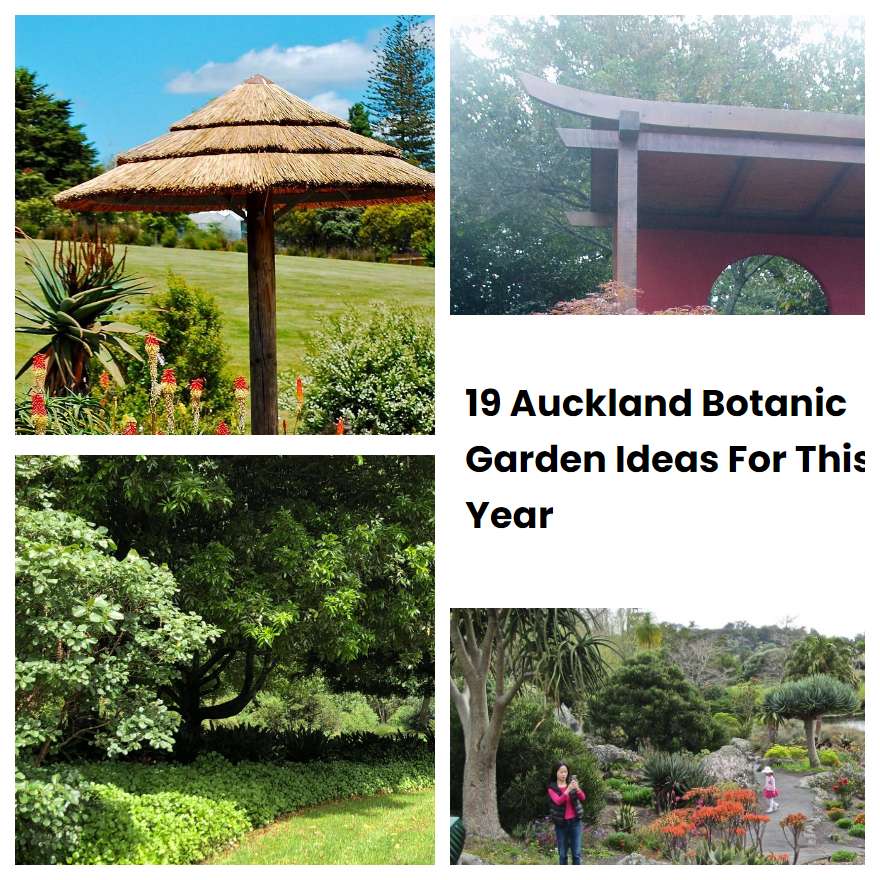 19 Auckland Botanic Garden Ideas For This Year