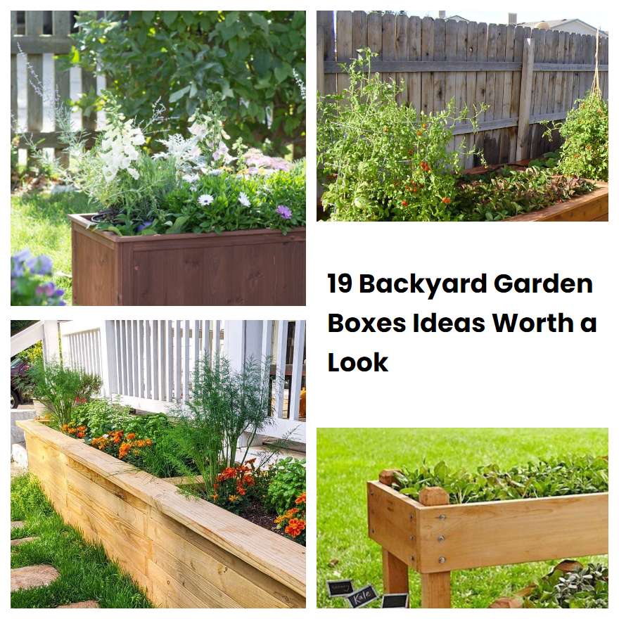 19 Backyard Garden Boxes Ideas Worth a Look SharonSable