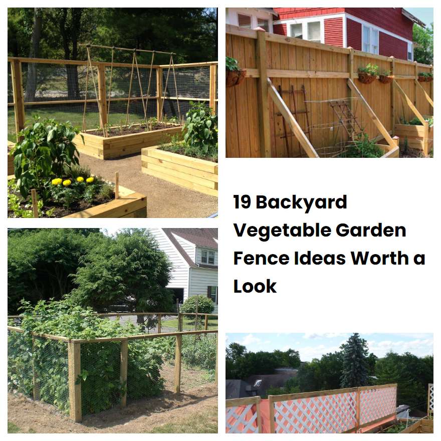 19 Backyard Vegetable Garden Fence Ideas Worth a Look