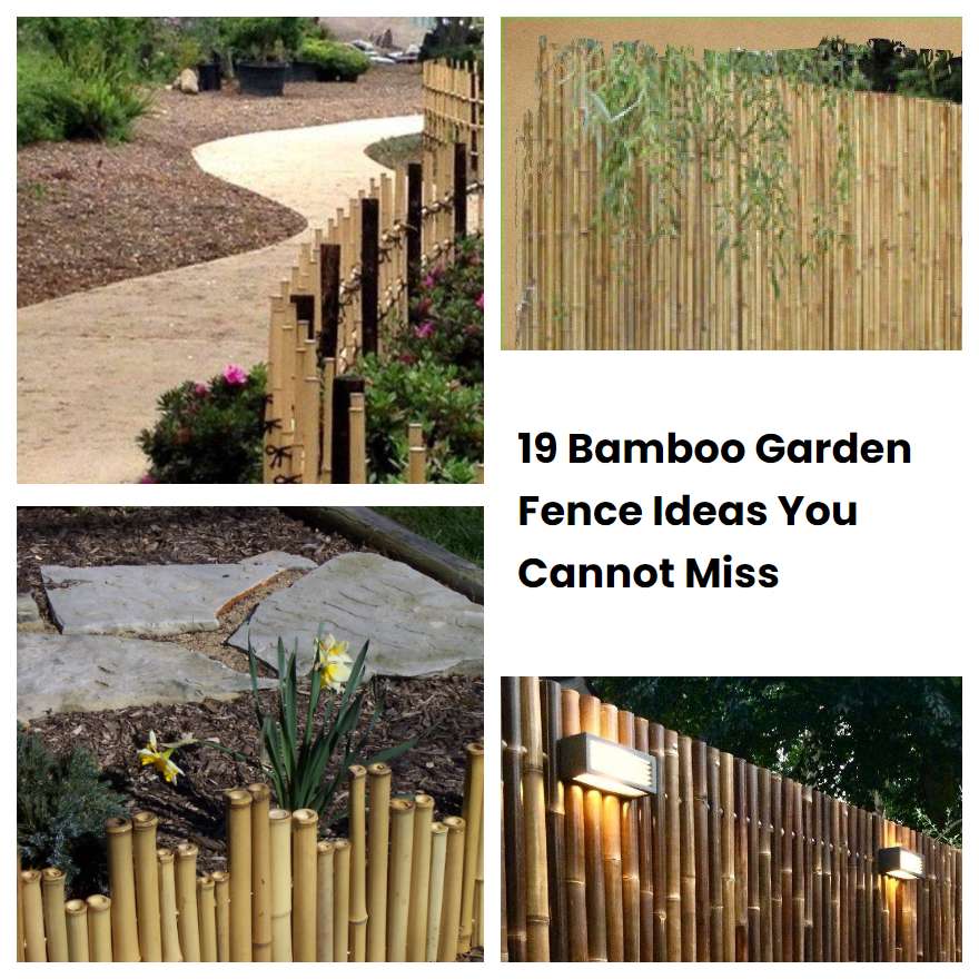 19 Bamboo Garden Fence Ideas You Cannot Miss SharonSable