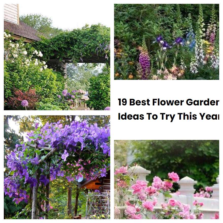 19 Best Flower Garden Ideas To Try This Year SharonSable