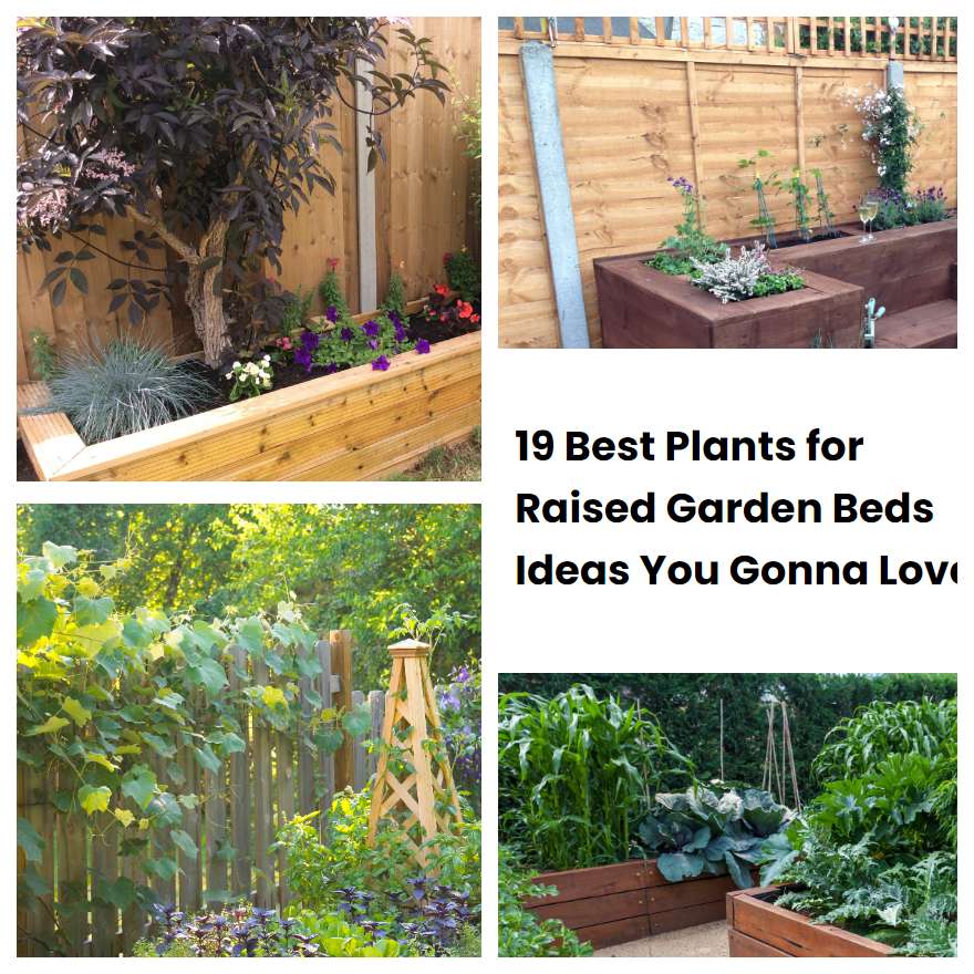 19 Best Plants for Raised Garden Beds Ideas You Gonna Love