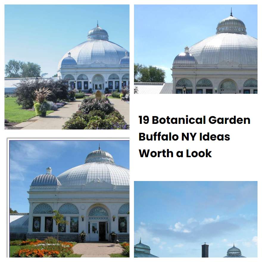 19 Botanical Garden Buffalo NY Ideas Worth a Look