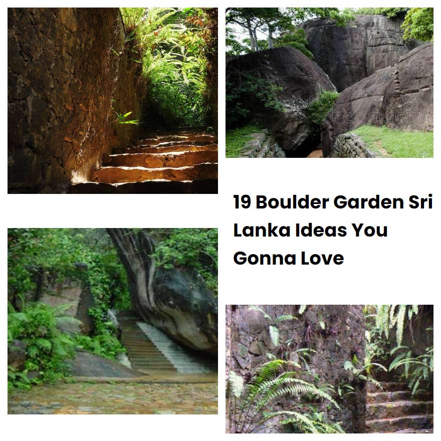 19 Boulder Garden Sri Lanka Ideas You Gonna Love