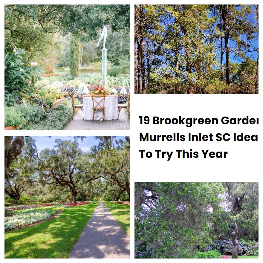 19 Brookgreen Garden Murrells Inlet SC Ideas To Try This Year