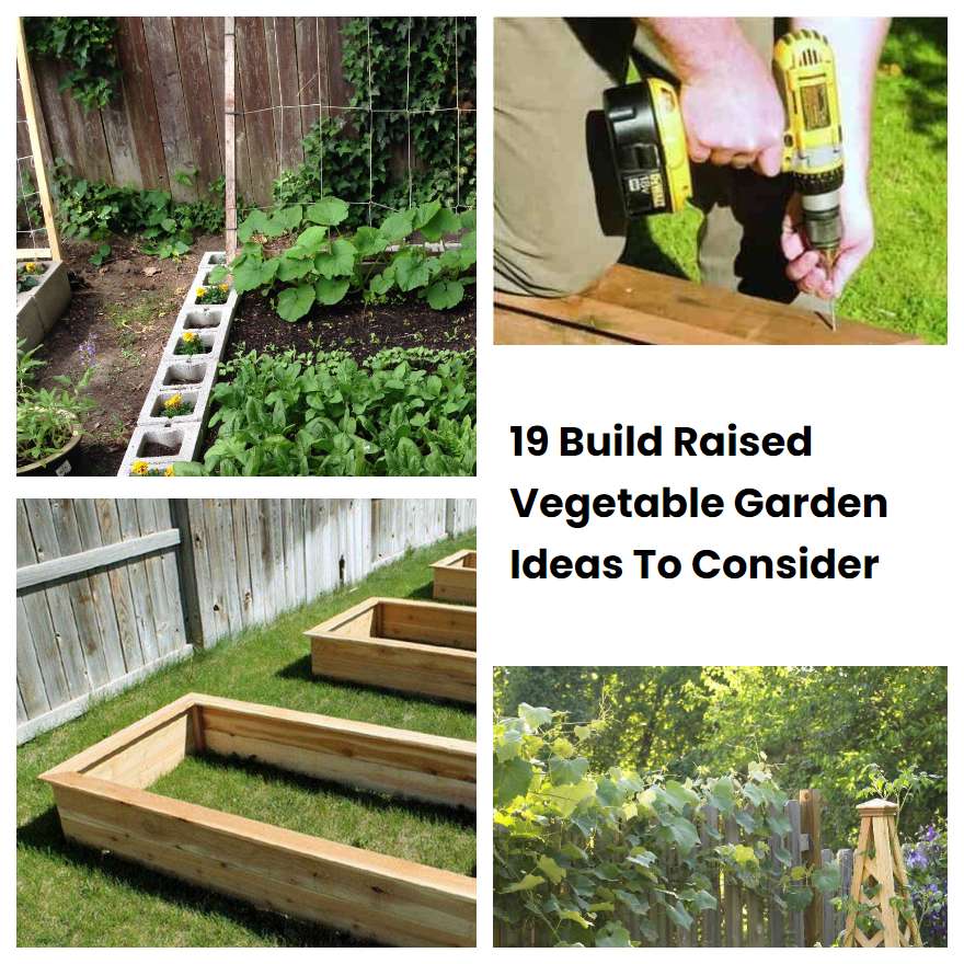 19 Build Raised Vegetable Garden Ideas To Consider SharonSable