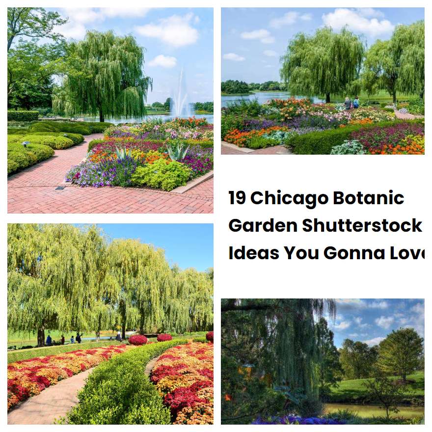 19 Chicago Botanic Garden Shutterstock Ideas You Gonna Love