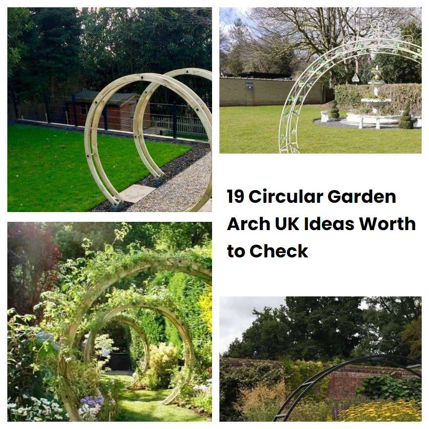 19 Circular Garden Arch UK Ideas Worth to Check SharonSable