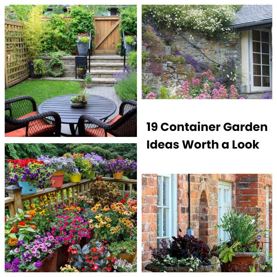 19 Container Garden Ideas Worth a Look