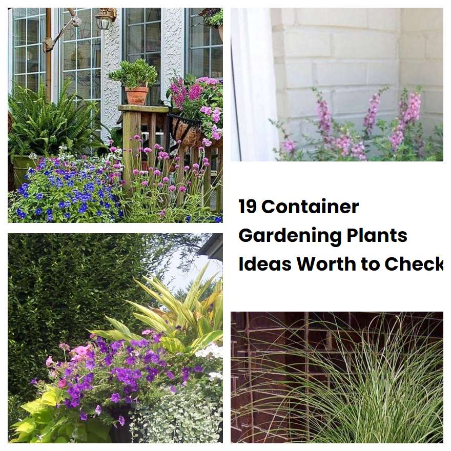 19 Container Gardening Plants Ideas Worth to Check