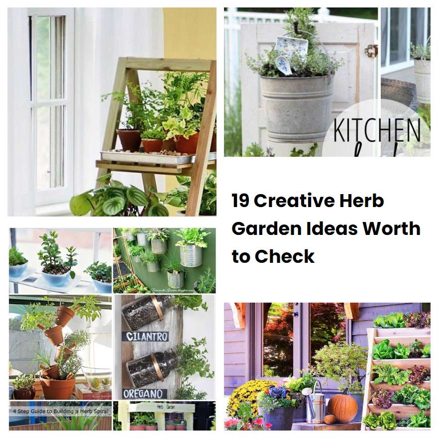 19 Creative Herb Garden Ideas Worth to Check