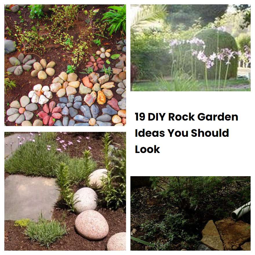 19 DIY Rock Garden Ideas You Should Look SharonSable