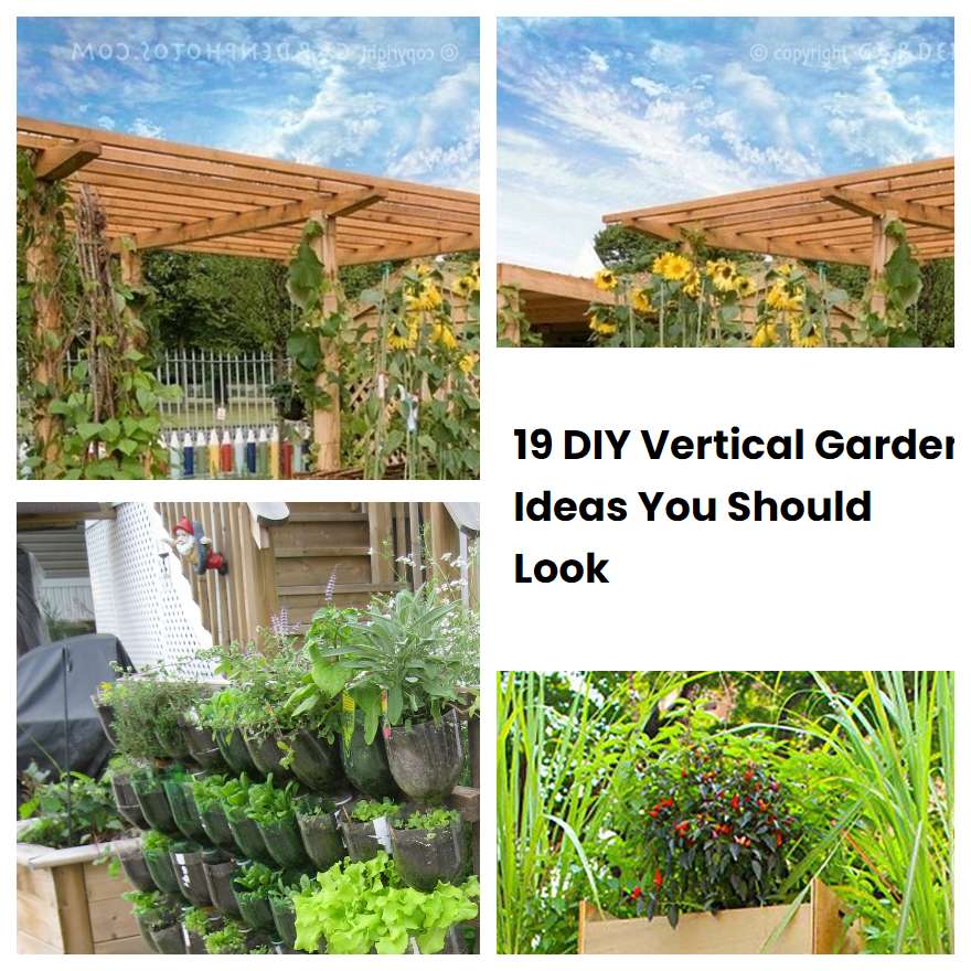 19 DIY Vertical Garden Ideas You Should Look
