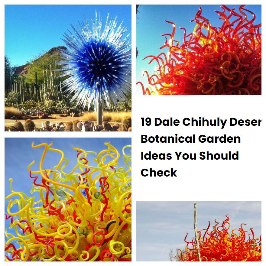 19 Dale Chihuly Desert Botanical Garden Ideas You Should Check