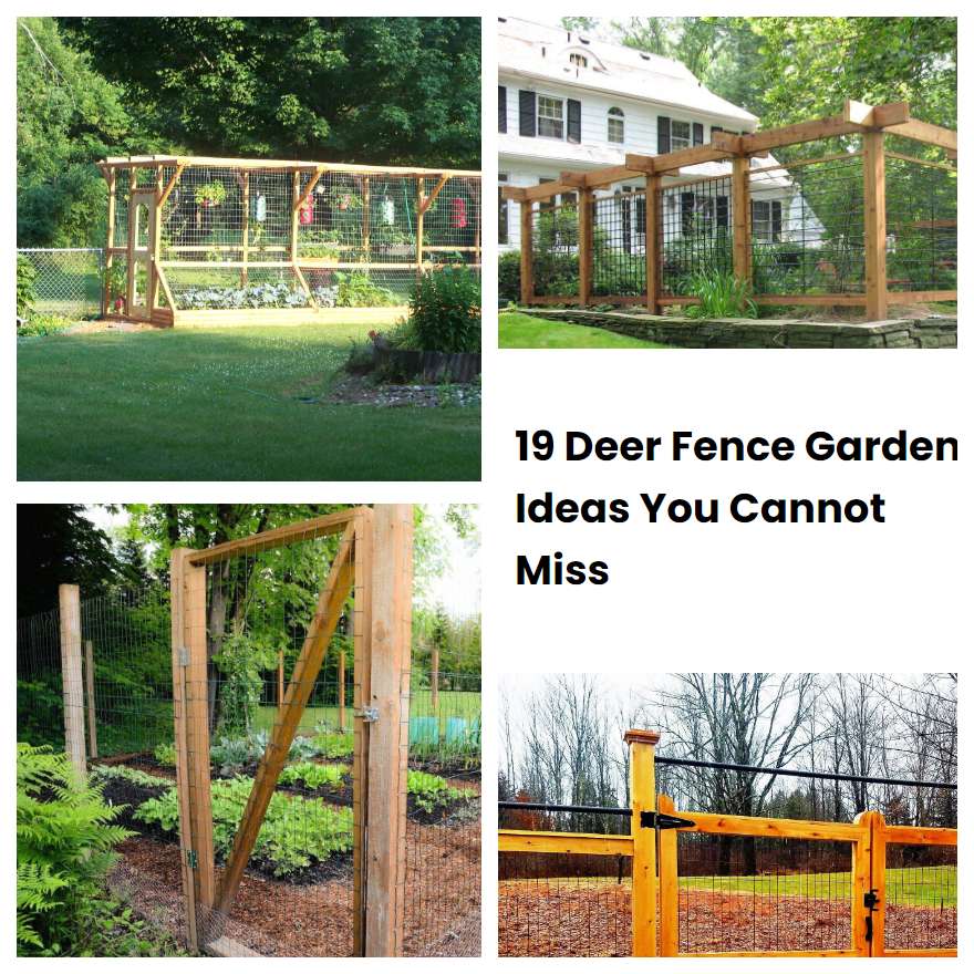 19 Deer Fence Garden Ideas You Cannot Miss