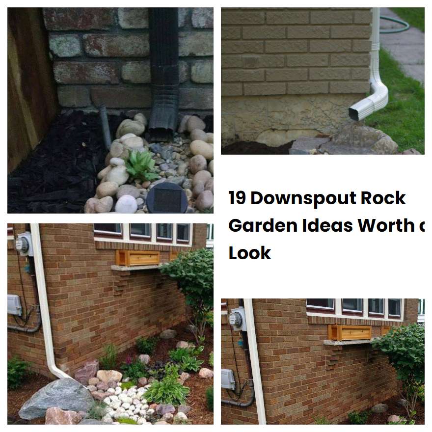 19 Downspout Rock Garden Ideas Worth a Look
