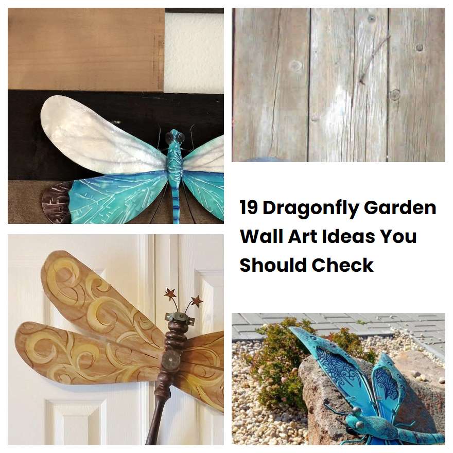 19 Dragonfly Garden Wall Art Ideas You Should Check
