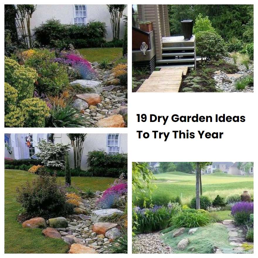 19 Dry Garden Ideas To Try This Year SharonSable