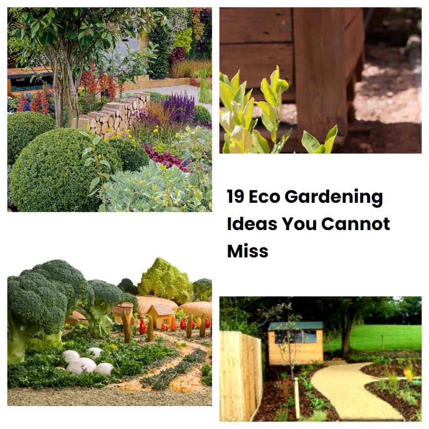 19 Eco Gardening Ideas You Cannot Miss