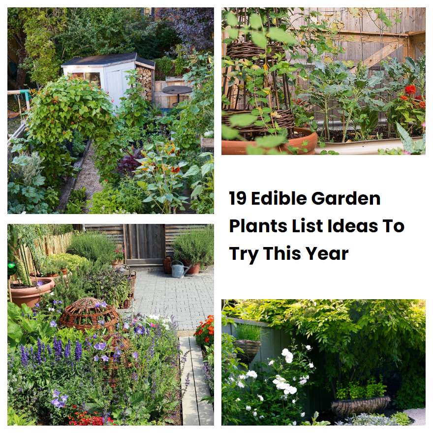 19 Edible Garden Plants List Ideas To Try This Year
