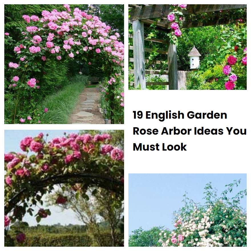 19 English Garden Rose Arbor Ideas You Must Look