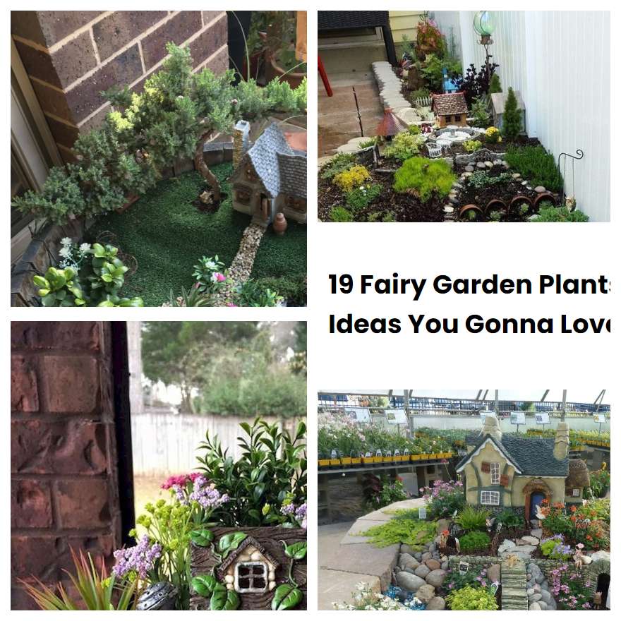 19 Fairy Garden Plants Ideas You Gonna Love