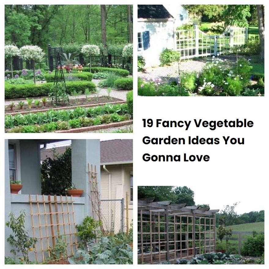 19 Fancy Vegetable Garden Ideas You Gonna Love