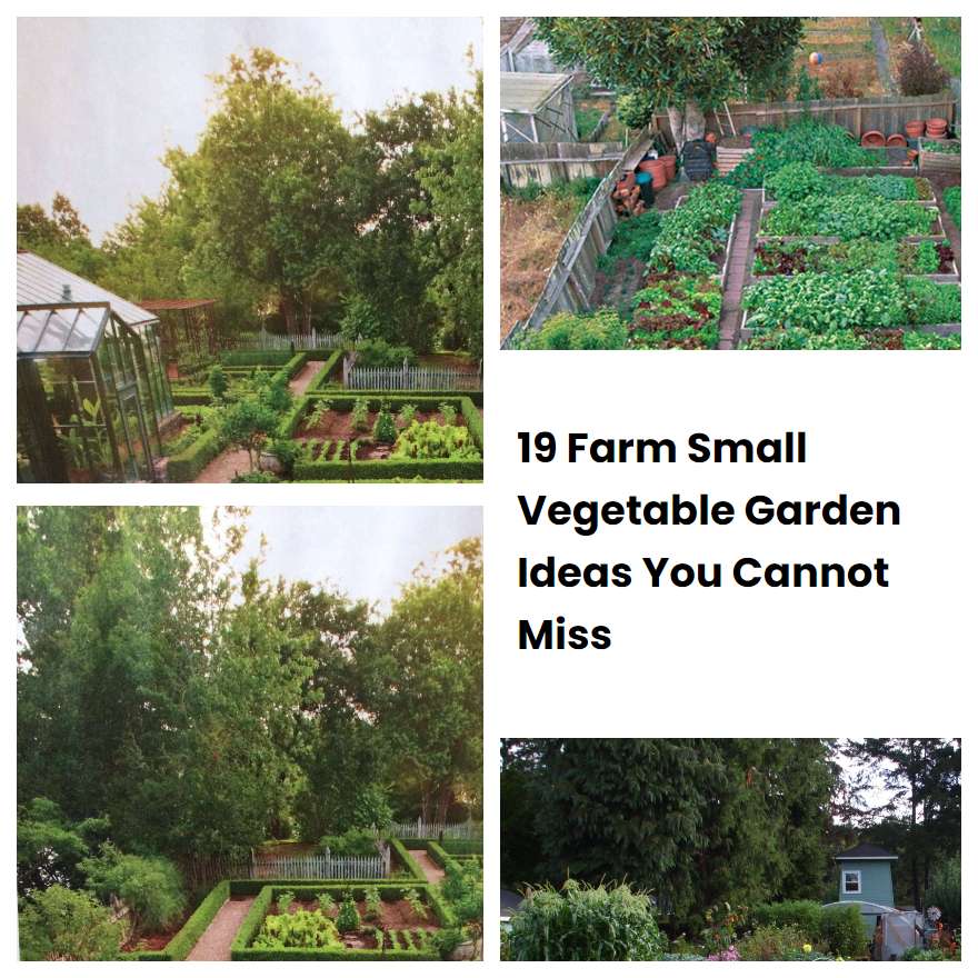 19 Farm Small Vegetable Garden Ideas You Cannot Miss