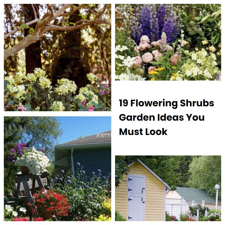 19 Flowering Shrubs Garden Ideas You Must Look