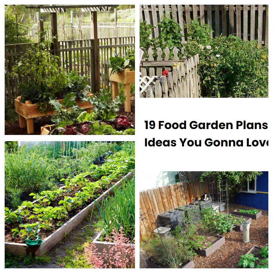 19 Food Garden Plans Ideas You Gonna Love