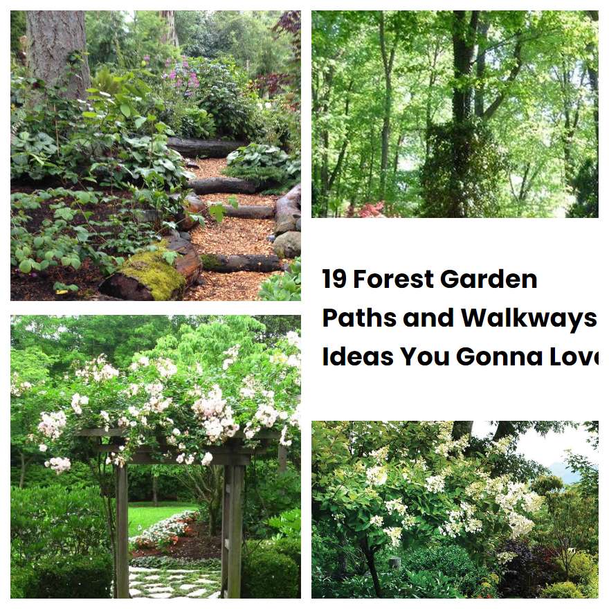 19 Forest Garden Paths and Walkways Ideas You Gonna Love