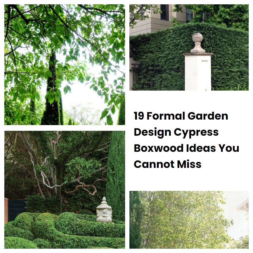 19 Formal Garden Design Cypress Boxwood Ideas You Cannot Miss | SharonSable