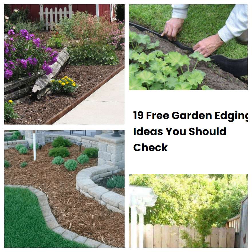 19 Free Garden Edging Ideas You Should Check SharonSable