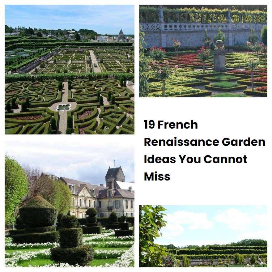 19 French Renaissance Garden Ideas You Cannot Miss