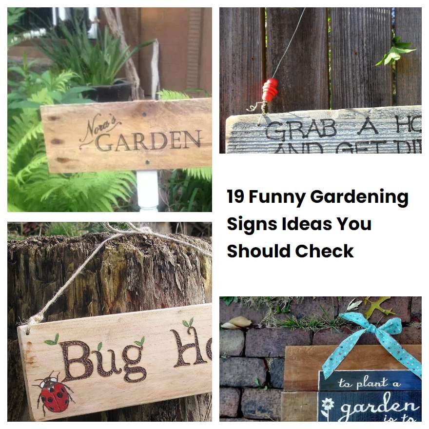 19 Funny Gardening Signs Ideas You Should Check