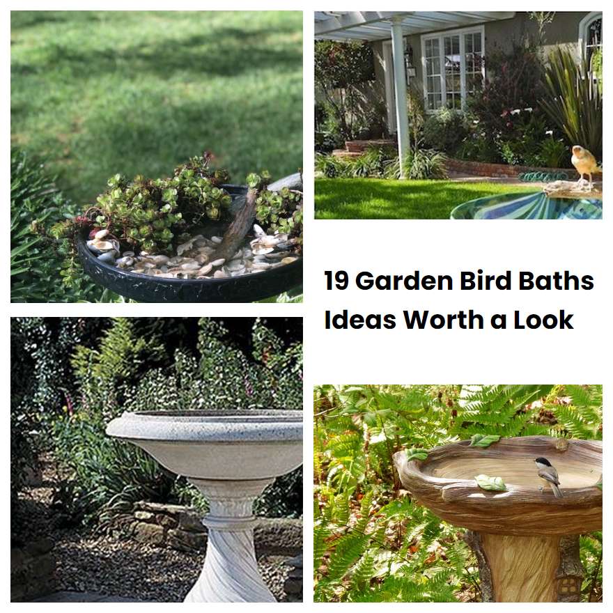 19 Garden Bird Baths Ideas Worth a Look SharonSable