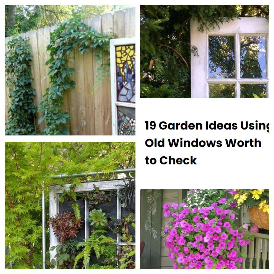 19 Garden Ideas Using Old Windows Worth to Check SharonSable