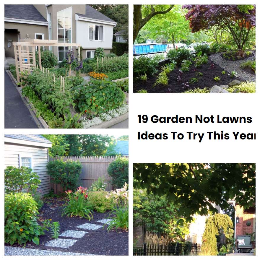 19 Garden Not Lawns Ideas To Try This Year