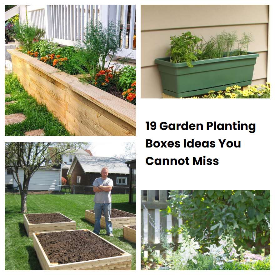 19 Garden Planting Boxes Ideas You Cannot Miss