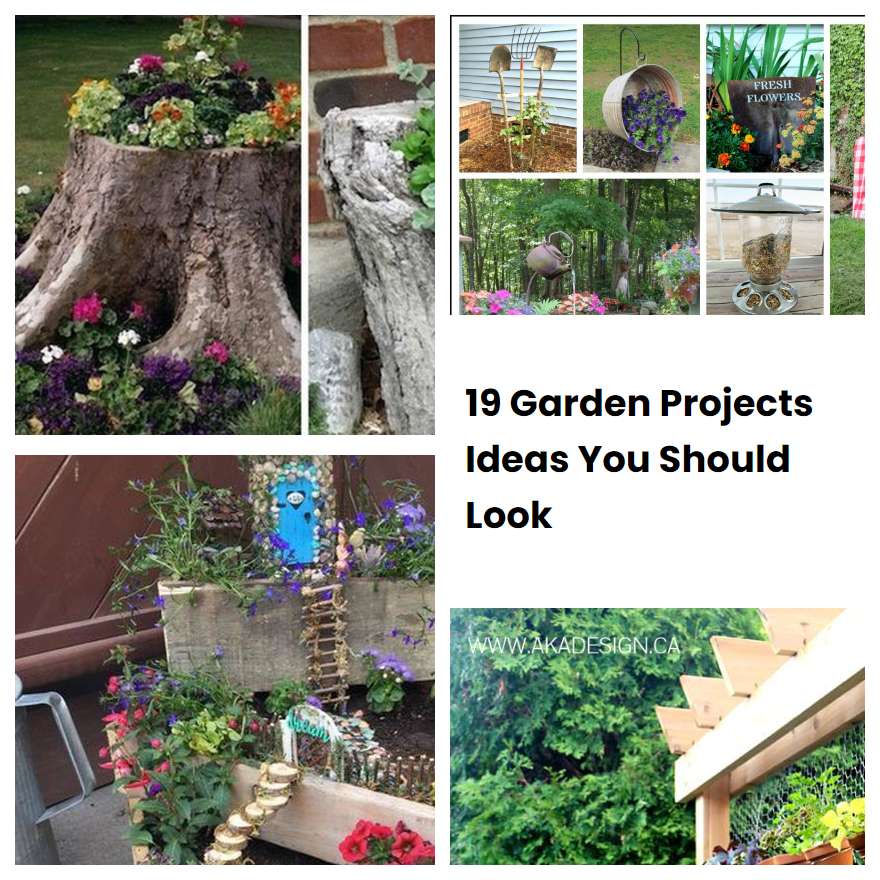 How To Make Garden Project Ideas How To Make Garden Project Ideas