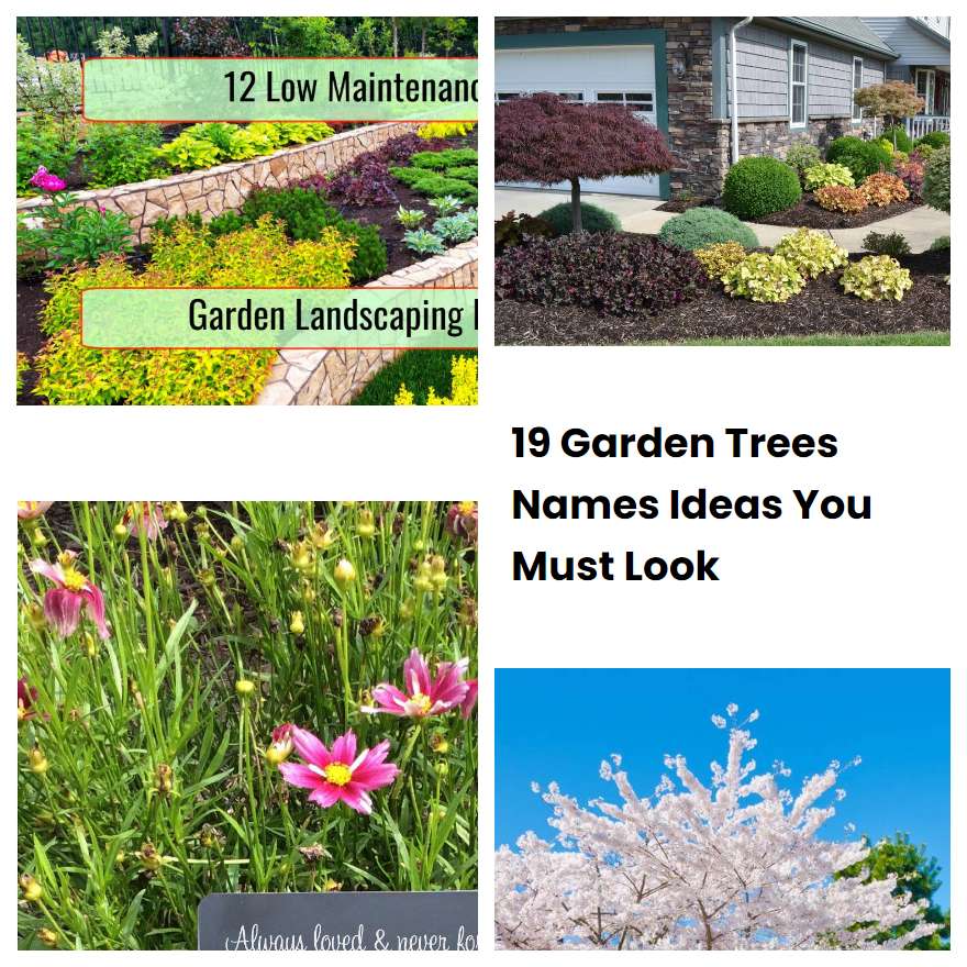 19 Garden Trees Names Ideas You Must Look