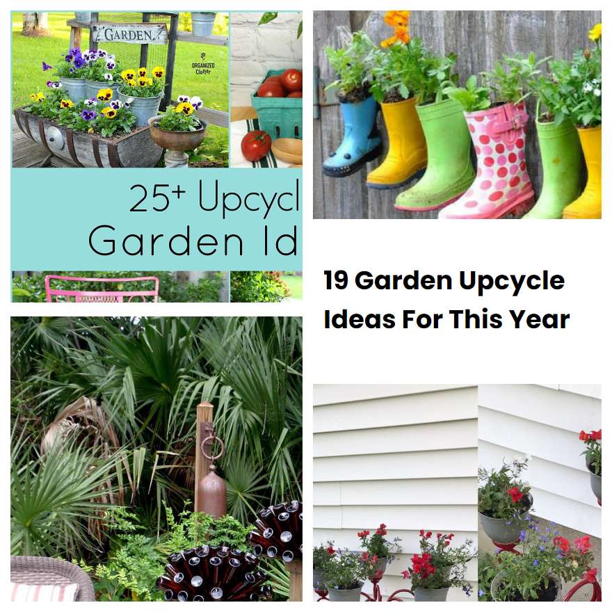 19 Garden Upcycle Ideas For This Year
