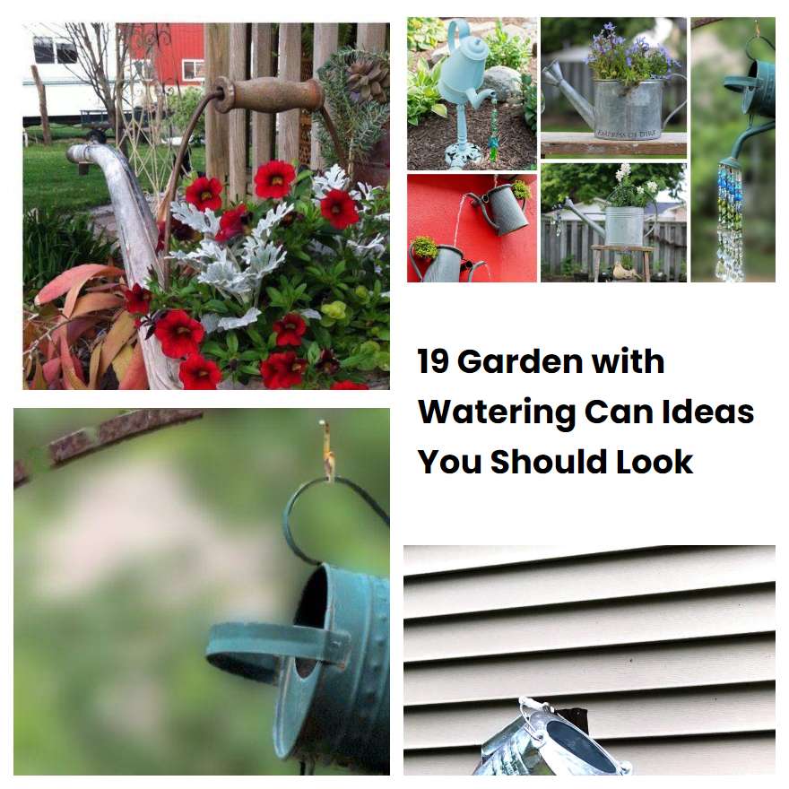 19 Garden with Watering Can Ideas You Should Look