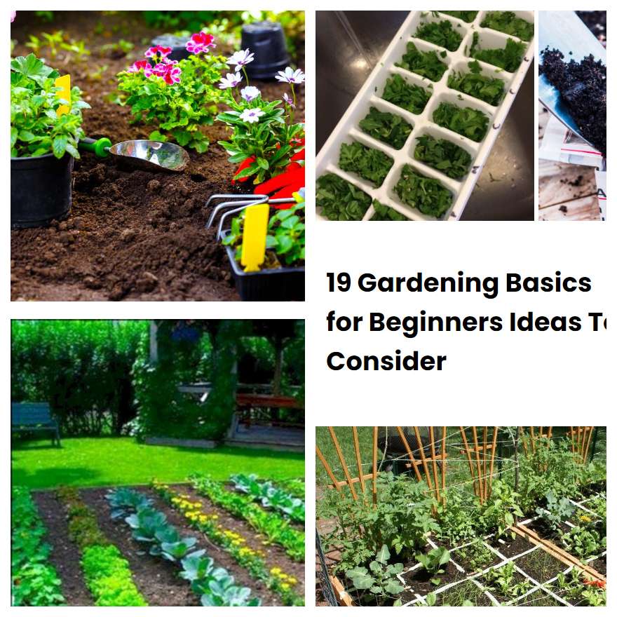 19 Gardening Basics for Beginners Ideas To Consider SharonSable