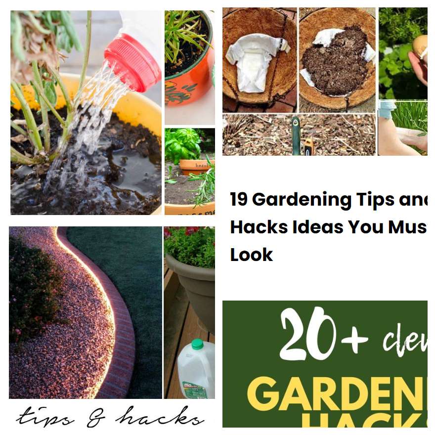 19 Gardening Tips and Hacks Ideas You Must Look