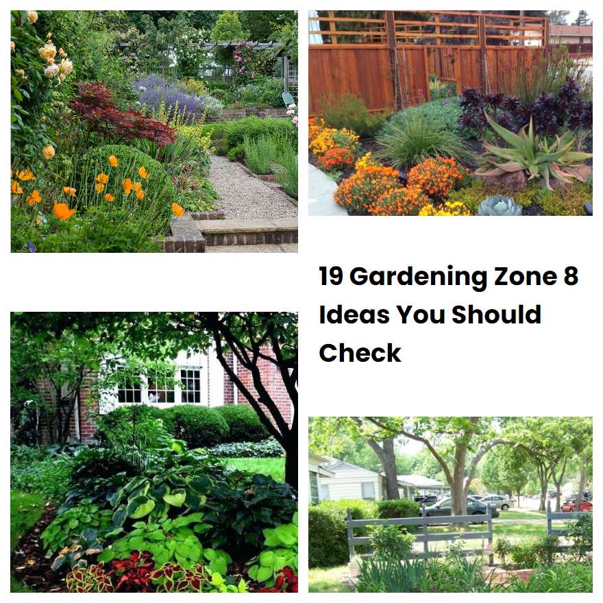19 Gardening Zone 8 Ideas You Should Check SharonSable