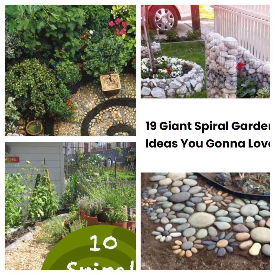19 Giant Spiral Garden Ideas You Gonna Love